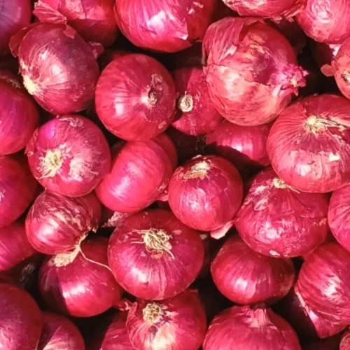 Quality Fresh Red Onions