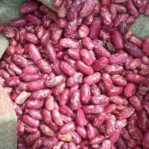 Rosecoco (Sugar) Beans from Tanzania